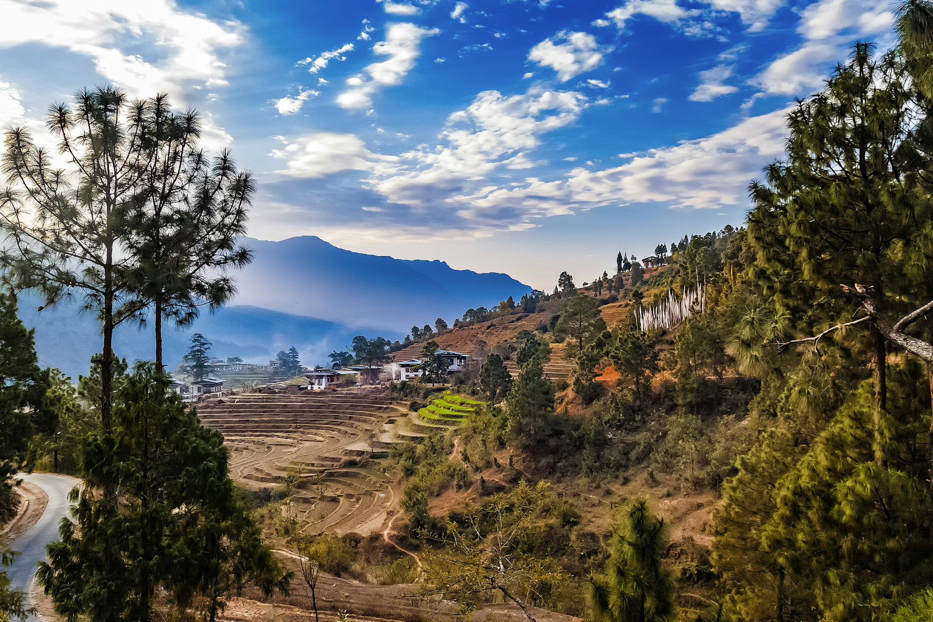 Terraced rice farming in Punakha, Bhutan